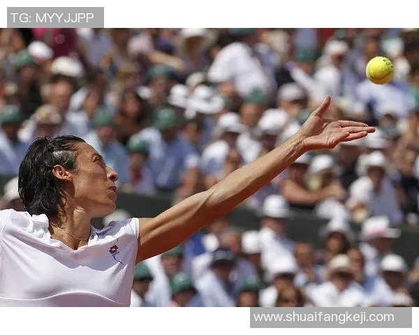 2010年斯齐亚沃尼与利斯基的精彩对决回顾与分析