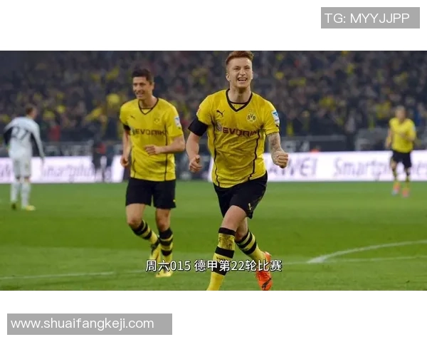 霍芬海姆与多特蒙德精彩对决现场直播全程回顾与分析